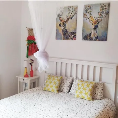 Boho Chic Costa Da Morte A Favela * Neaño