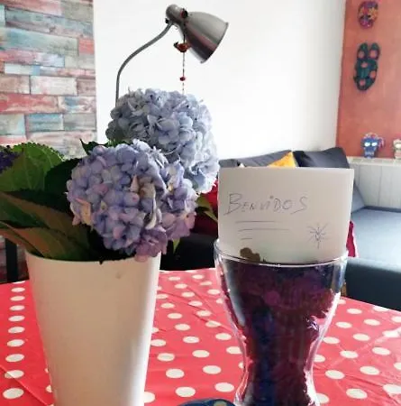 Boho Chic Costa Da Morte A Favela ネアニョ